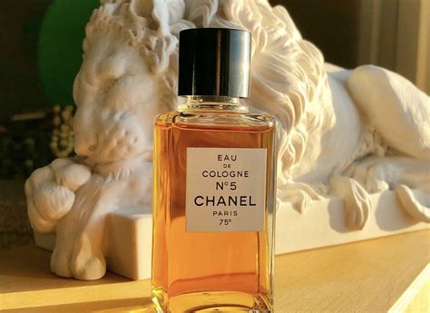 axe chanel cologne|9 Best Chanel Perfumes For Women And Men In 2024, .